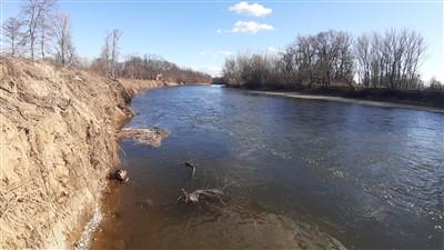 Revitalizirana brežina reke Mure v Gradišču oziroma Hrastje-Moti po odstranitvi kamnometa. Foto: Arhiv projekta lifelineMDD, Zavod RS za varstvo narave